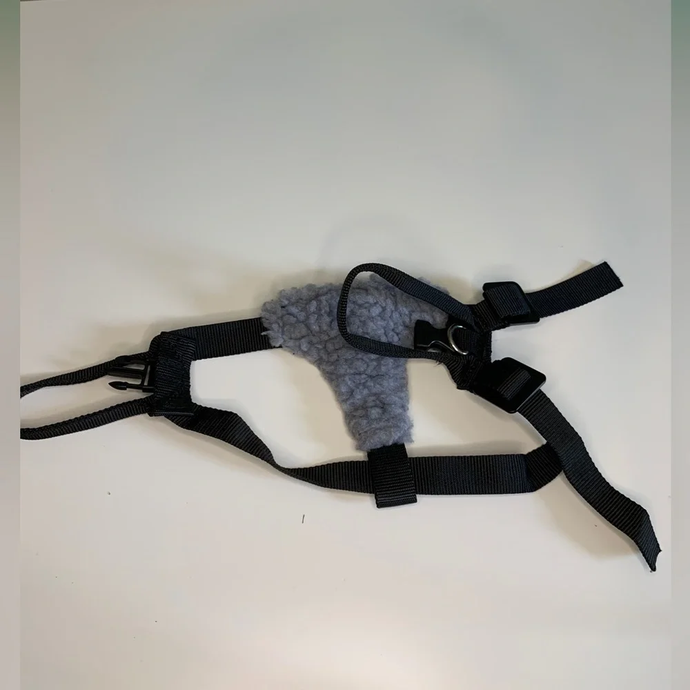N/A dog seatbelt